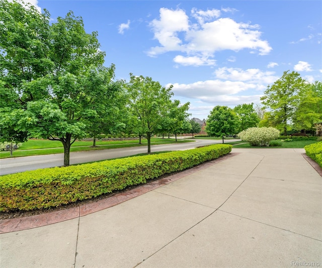 17747 Parkshore Dr, Northville, MI 48168 - view of property's community