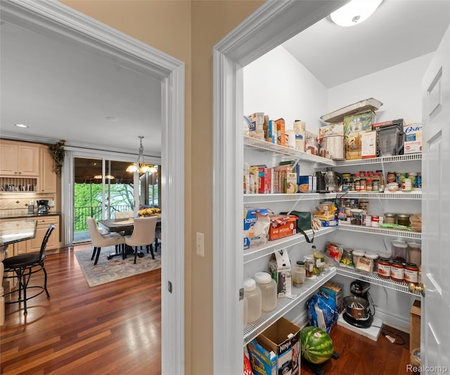 17747 Parkshore Dr, Northville, MI 48168 - view of pantry