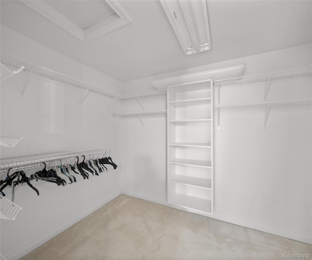 17747 Parkshore Dr, Northville, MI 48168 - walk in closet with carpet and attic access