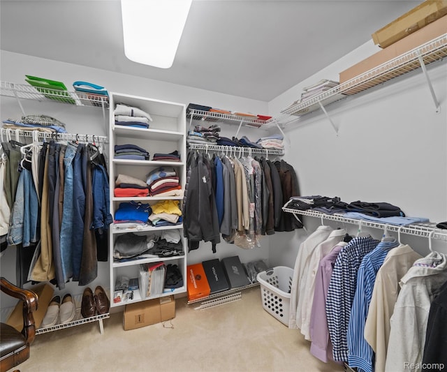 17747 Parkshore Dr, Northville, MI 48168 - walk in closet with carpet