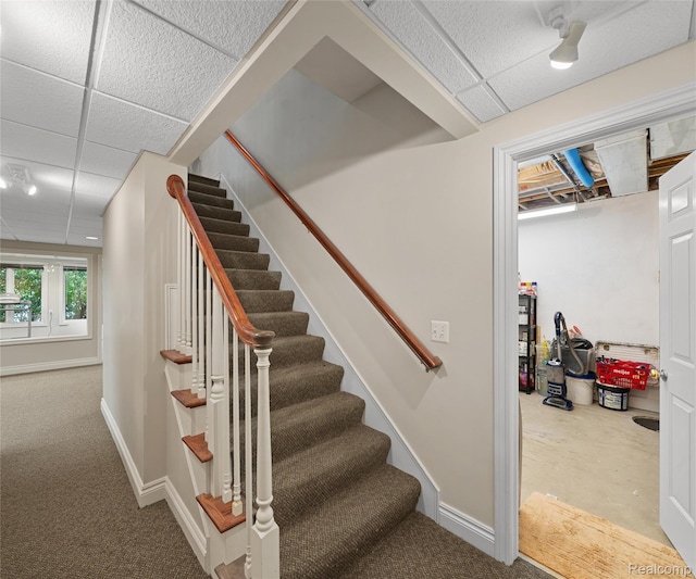 17747 Parkshore Dr, Northville, MI 48168 - staircase with carpet, baseboards, and a drop ceiling