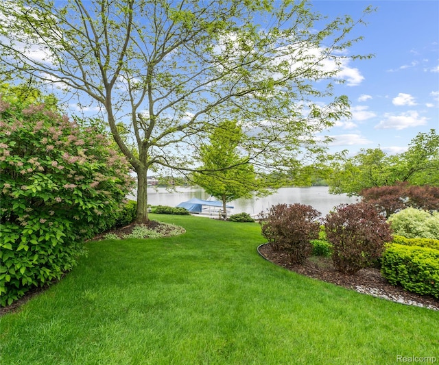 17747 Parkshore Dr, Northville, MI 48168 - view of green lawn featuring a water view