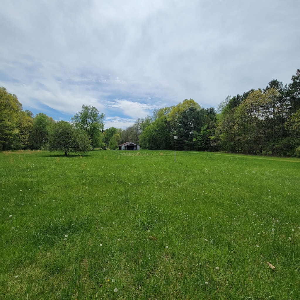 400 E Schafer Rd, Pinckney, MI 48169 - view of green lawn with a view of rural / pastoral area