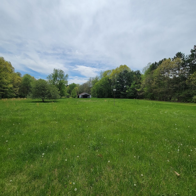400 E Schafer Rd, Pinckney, MI 48169 - view of green lawn with a view of rural / pastoral area