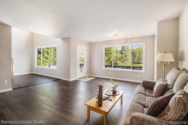400 E Schafer Rd, Pinckney, MI 48169 - living room featuring dark wood-style flooring