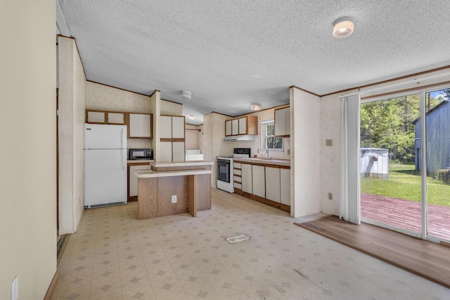 3749 Wellman Rd, Parma, MI 49269 - kitchen with white appliances, plenty of natural light, a textured ceiling, light flooring, and vaulted ceiling
