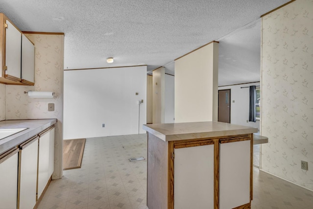 3749 Wellman Rd, Parma, MI 49269 - kitchen with light floors, a textured ceiling, light countertops, and wallpapered walls