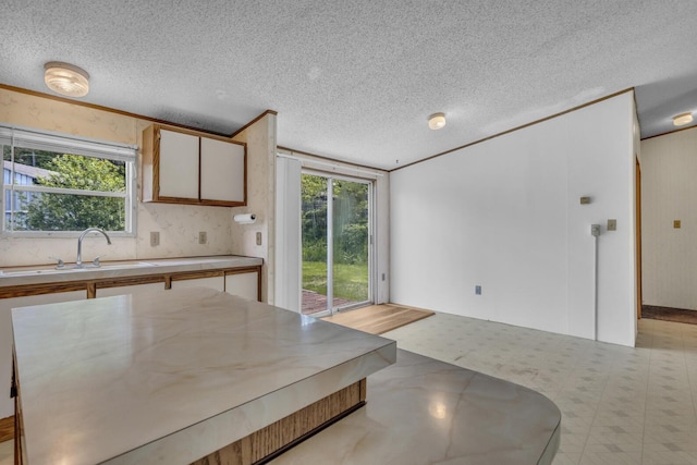3749 Wellman Rd, Parma, MI 49269 - kitchen featuring a sink, a textured ceiling, plenty of natural light, light flooring, and light countertops