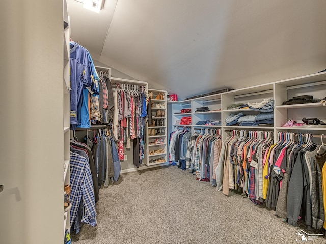 469 Corinth Cir, Dundee, MI 48131 - spacious closet with vaulted ceiling and carpet floors
