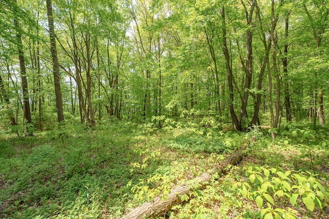 9934 W Fg Ave, Kalamazoo, MI 49009 - view of tree filled area