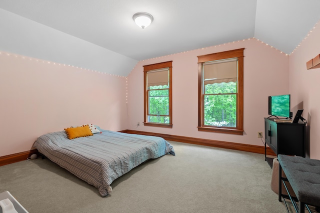 9934 W Fg Ave, Kalamazoo, MI 49009 - bedroom with vaulted ceiling, carpet, and baseboards