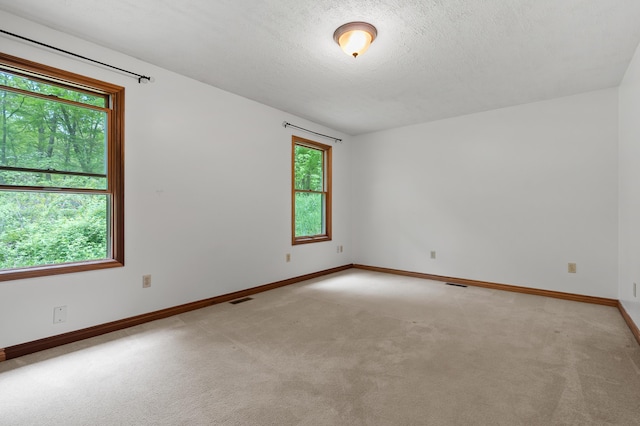 9934 W Fg Ave, Kalamazoo, MI 49009 - unfurnished room with light carpet, baseboards, and a textured ceiling