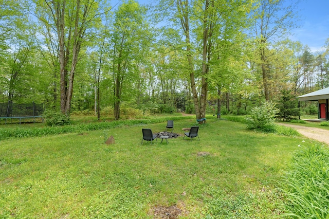 9934 W Fg Ave, Kalamazoo, MI 49009 - view of green lawn with a trampoline and dirt driveway