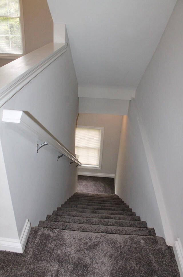 45862 S Stonewood Rd Unit 218, Canton, MI 48187 - stairway with carpet flooring