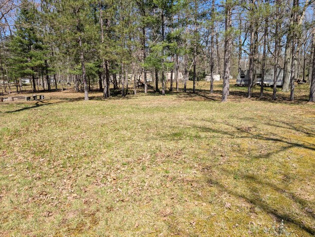 5268 S Arrowhead Trl, Baldwin, MI 49304 - view of green lawn