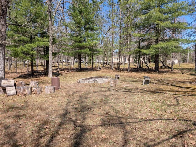 5268 S Arrowhead Trl, Baldwin, MI 49304 - view of yard