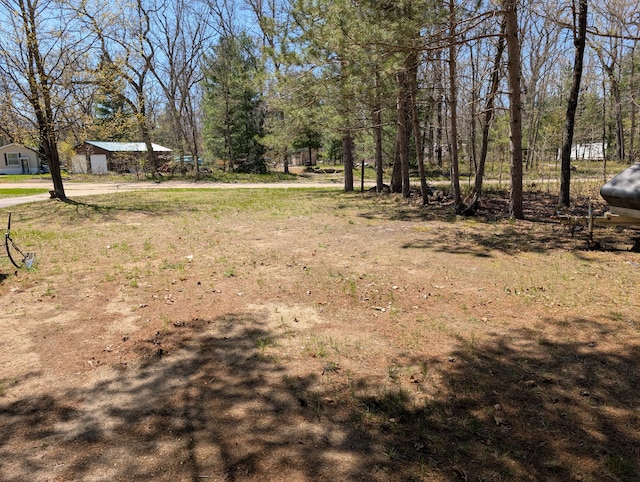 5268 S Arrowhead Trl, Baldwin, MI 49304 - view of yard