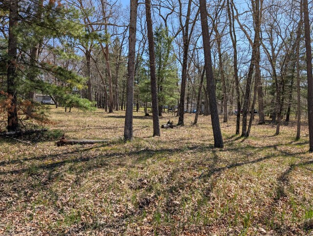 5268 S Arrowhead Trl, Baldwin, MI 49304 - view of local wilderness