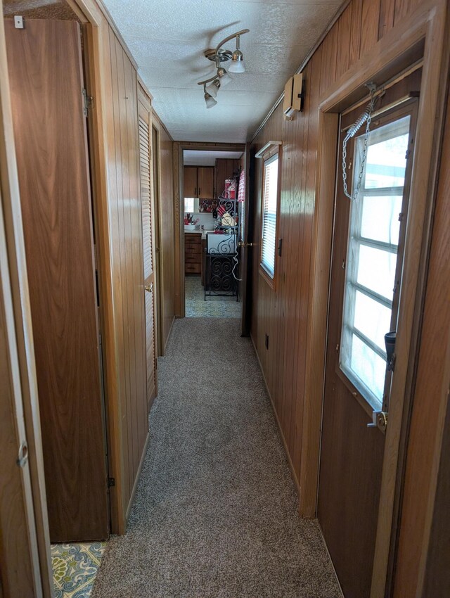 5268 S Arrowhead Trl, Baldwin, MI 49304 - hall with light colored carpet, wood walls, and a textured ceiling