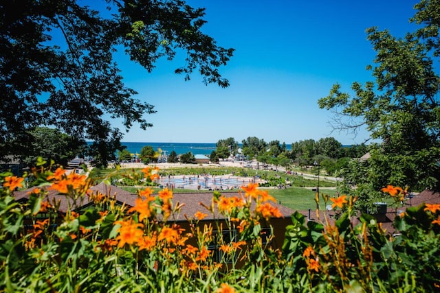 2553 Bristol Ter, Saint Joseph, MI 49085 - view of property's community featuring a water view