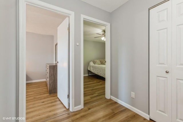 2553 Bristol Ter, Saint Joseph, MI 49085 - hall with light wood finished floors and baseboards