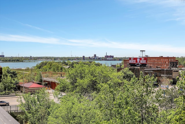 6533 E Jefferson Ave Unit 413W, Detroit, MI 48207 - water view