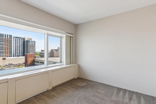555 E William St Unit 10D, Ann Arbor, MI 48104 - empty room with carpet and a view of city