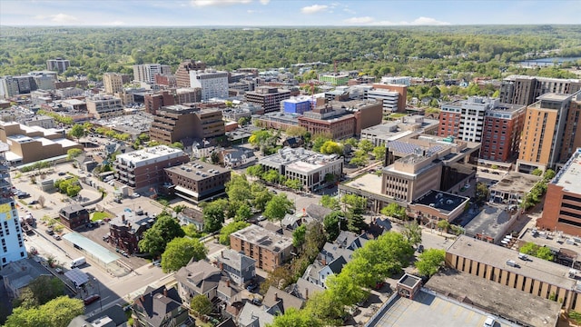 555 E William St Unit 10D, Ann Arbor, MI 48104 - drone / aerial view of a forest