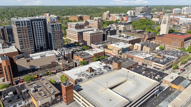 555 E William St Unit 10D, Ann Arbor, MI 48104 - view of urban area