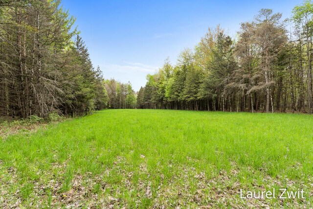 1442 W Tyler Rd, Hart, MI 49420 - view of yard featuring a view of trees