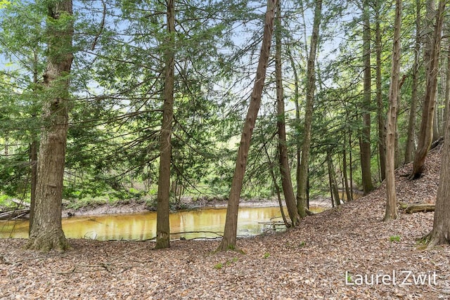 1442 W Tyler Rd, Hart, MI 49420 - water view