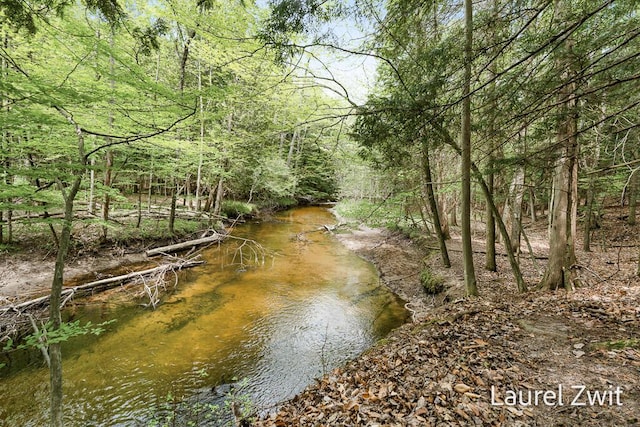 1442 W Tyler Rd, Hart, MI 49420 - water view