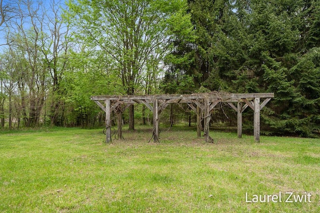 1442 W Tyler Rd, Hart, MI 49420 - view of green lawn