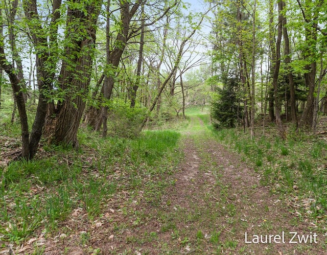 1442 W Tyler Rd, Hart, MI 49420 - view of tree filled area