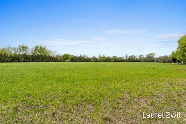 1442 W Tyler Rd, Hart, MI 49420 - view of green lawn featuring a rural view