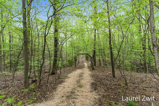 1442 W Tyler Rd, Hart, MI 49420 - view of tree filled area