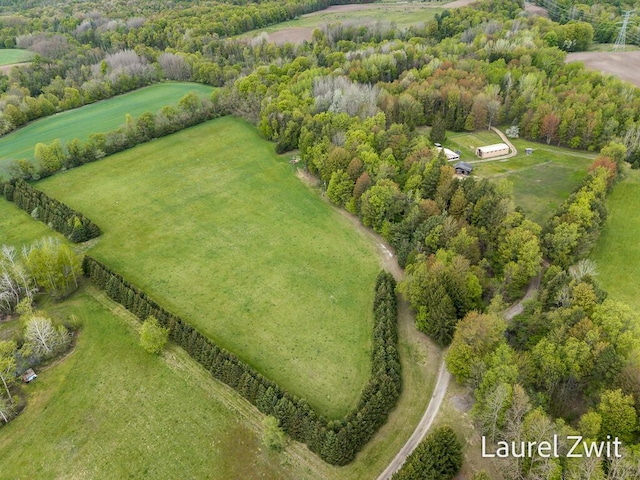 1442 W Tyler Rd, Hart, MI 49420 - aerial view of property's location with rural landscape