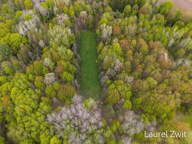 1442 W Tyler Rd, Hart, MI 49420 - drone / aerial view