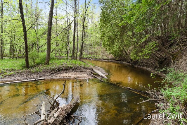 1442 W Tyler Rd, Hart, MI 49420 - water view