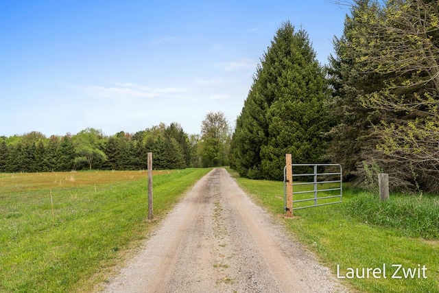 1442 W Tyler Rd, Hart, MI 49420 - view of dirt / gravel road featuring a wooded view