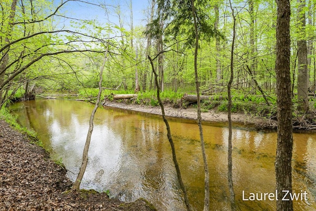 1442 W Tyler Rd, Hart, MI 49420 - water view