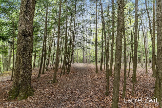 1442 W Tyler Rd, Hart, MI 49420 - view of woods