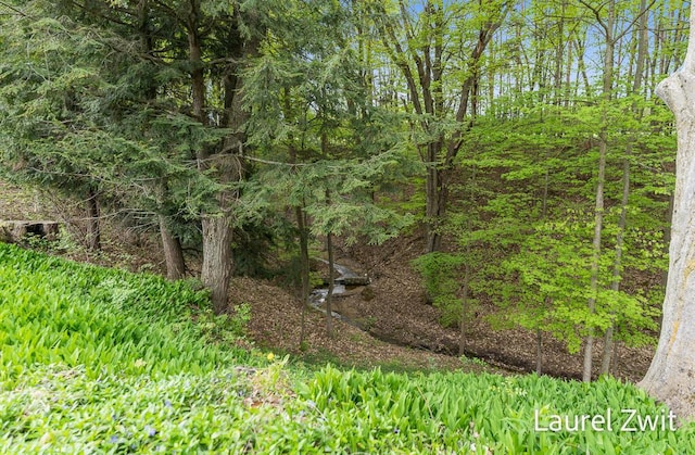 1442 W Tyler Rd, Hart, MI 49420 - view of local wilderness