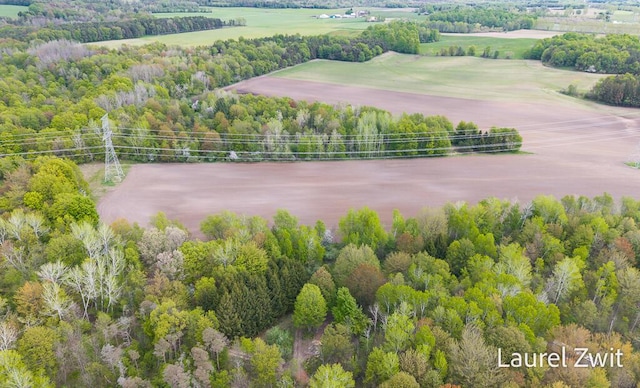 1442 W Tyler Rd, Hart, MI 49420 - bird's eye view