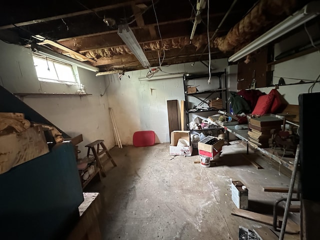 2330 Kint Ct, Jackson, MI 49202 - view of basement