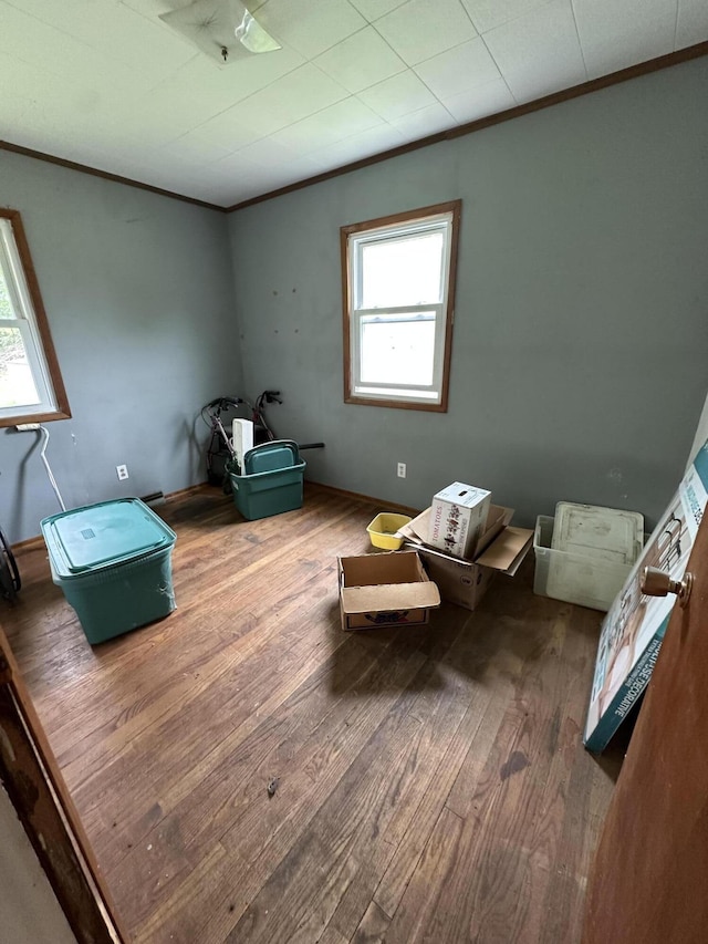2330 Kint Ct, Jackson, MI 49202 - bedroom featuring multiple windows, crown molding, and wood finished floors