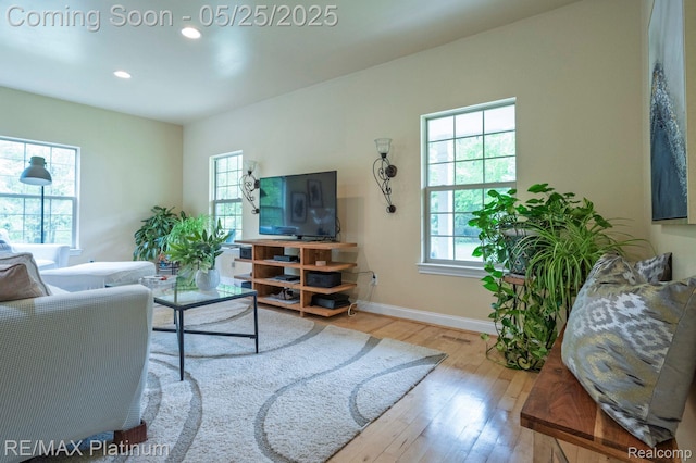2038 Pine Bluffs Ct, Highland, MI 48357 - living area with wood-type flooring, baseboards, and recessed lighting