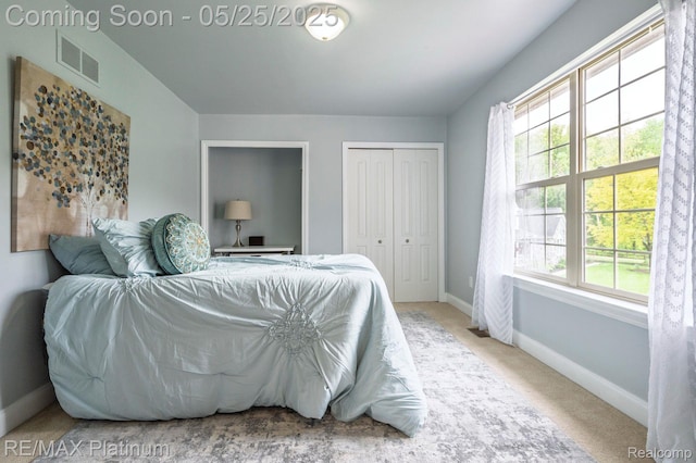 2038 Pine Bluffs Ct, Highland, MI 48357 - carpeted bedroom with baseboards and a closet