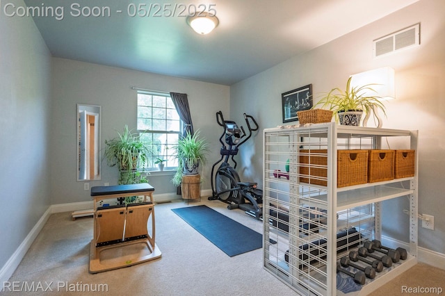 2038 Pine Bluffs Ct, Highland, MI 48357 - exercise room featuring baseboards and carpet flooring