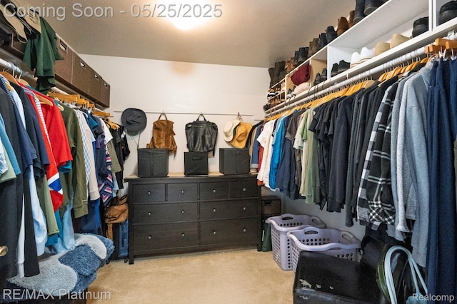 2038 Pine Bluffs Ct, Highland, MI 48357 - spacious closet with light colored carpet